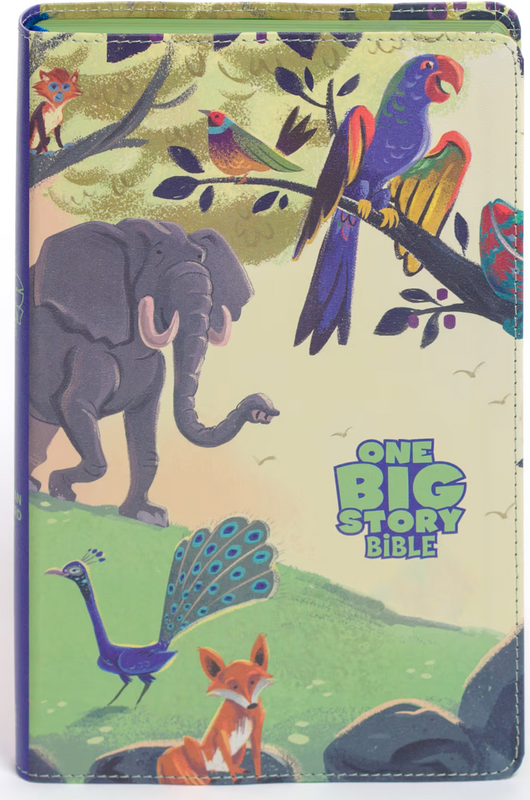 CSB One Big Story Bible, Creation LT, RL