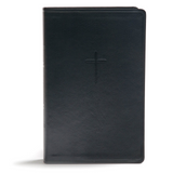 CSB Everyday Study Bible BLK LT