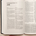 CSB Everyday Study Bible BLK LT